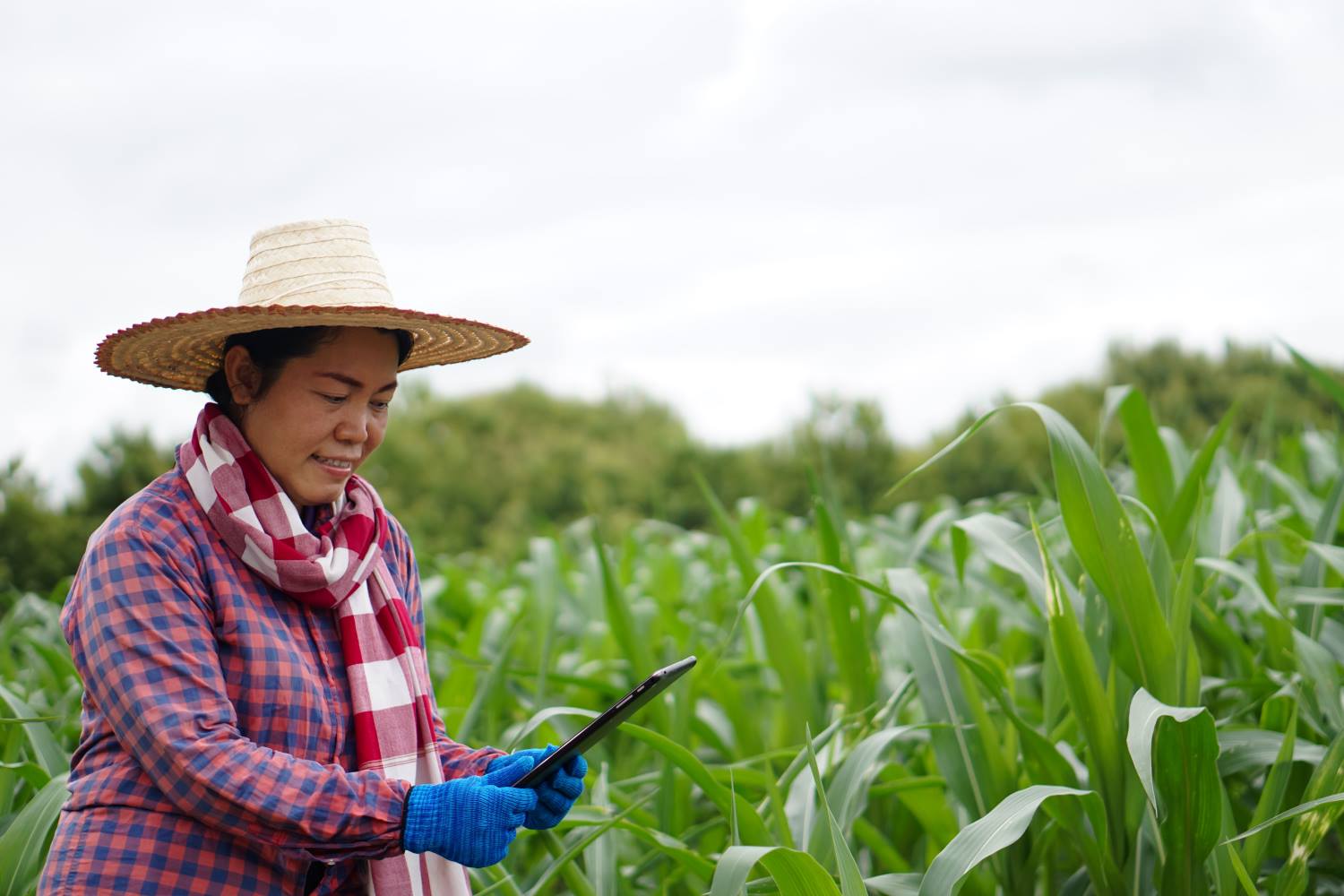 farming woman 2.jpg